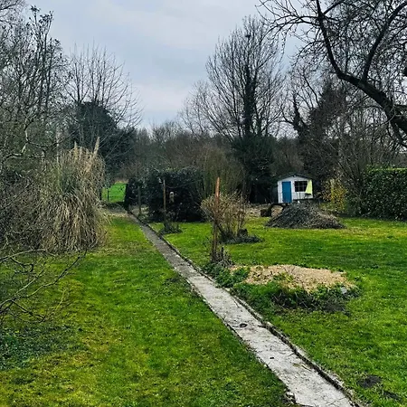 Au Coron Des Anges - Havré - - Pairi Daiza - Shape * Mons