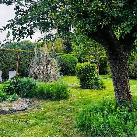 別荘 Au Coron Des Anges - Havre - - Pairi Daiza - Shape モンス