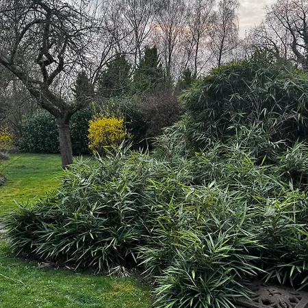 Au Coron Des Anges - Havré - - Pairi Daiza - Shape Mons