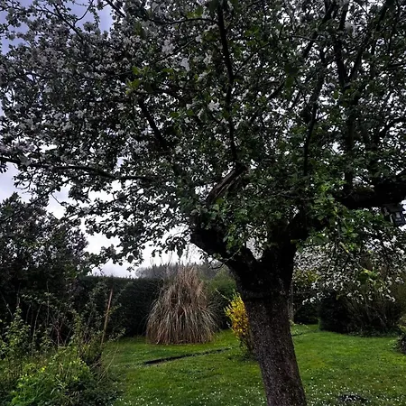 Au Coron Des Anges - Havré - - Pairi Daiza - Shape Сasa de vacaciones