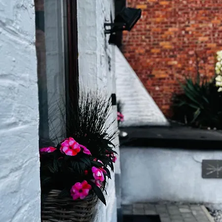 別荘 Au Coron Des Anges - Havre - - Pairi Daiza - Shape モンス