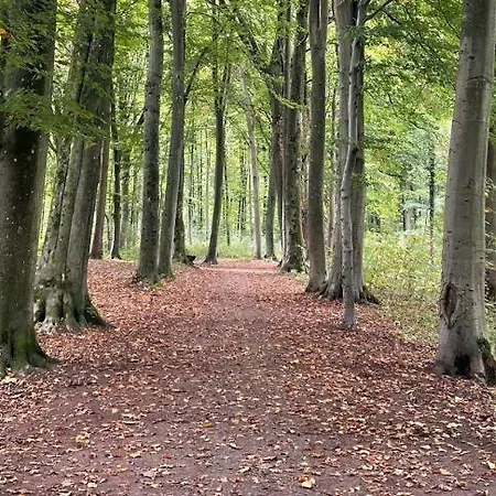 Au Coron Des Anges Mons