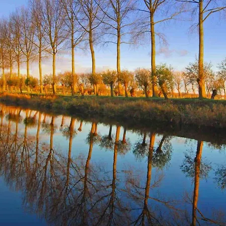 Au Coron Des Anges - Havré - - Pairi Daiza - Shape
