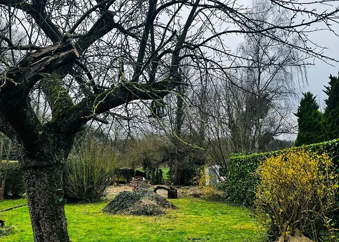 Au Coron Des Anges - Havré - - Pairi Daiza - Shape Mons