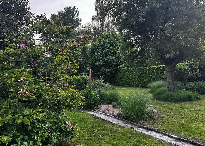 Au Coron Des Anges - Havré - - Pairi Daiza - Shape *