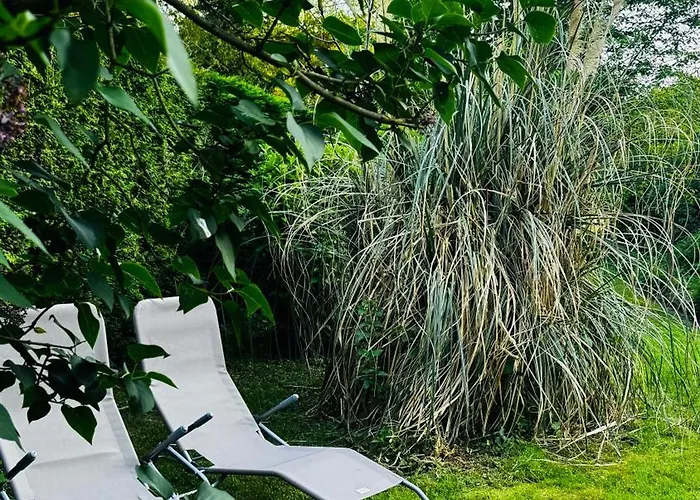 Au Coron Des Anges - Havré - - Pairi Daiza - Shape Hébergement de vacances Mons