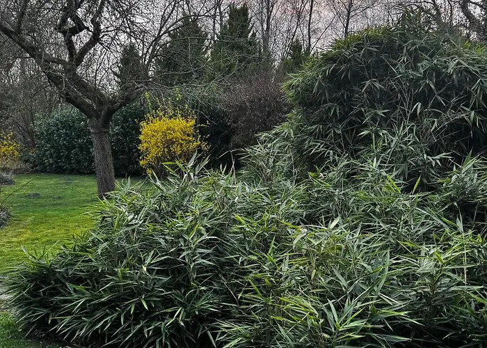 Au Coron Des Anges - Havré - - Pairi Daiza - Shape Mons