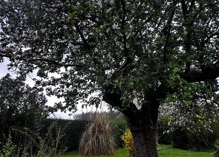 Au Coron Des Anges - Havré - - Pairi Daiza - Shape Hébergement de vacances