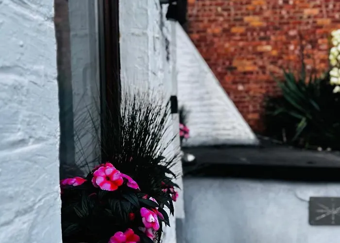 Hébergement de vacances Au Coron Des Anges - Havré - - Pairi Daiza - Shape Mons