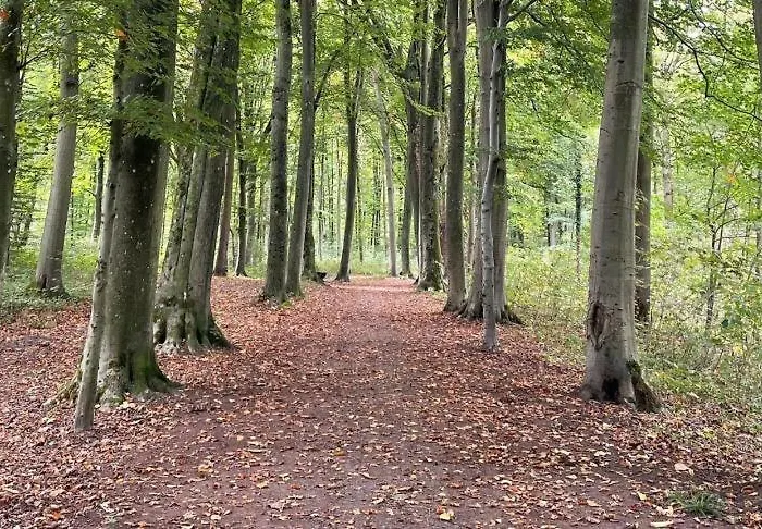 Au Coron Des Anges - Havré - - Pairi Daiza - Shape Mons