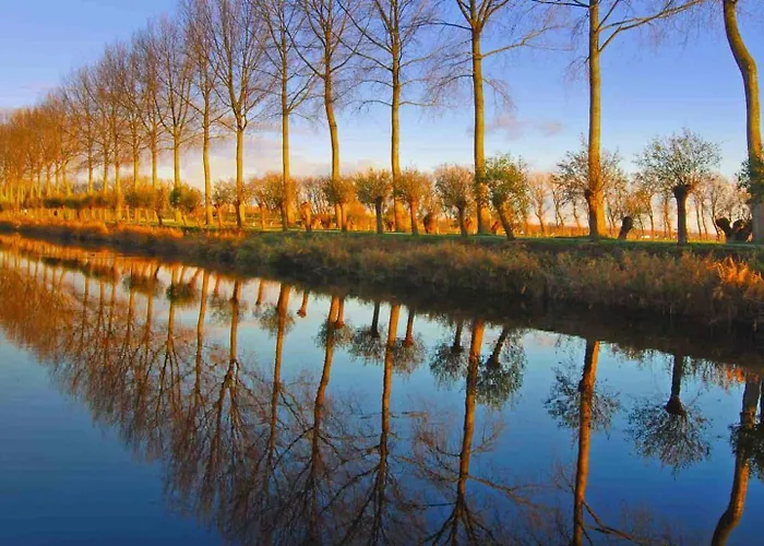 Au Coron Des Anges - Havré - - Pairi Daiza - Shape